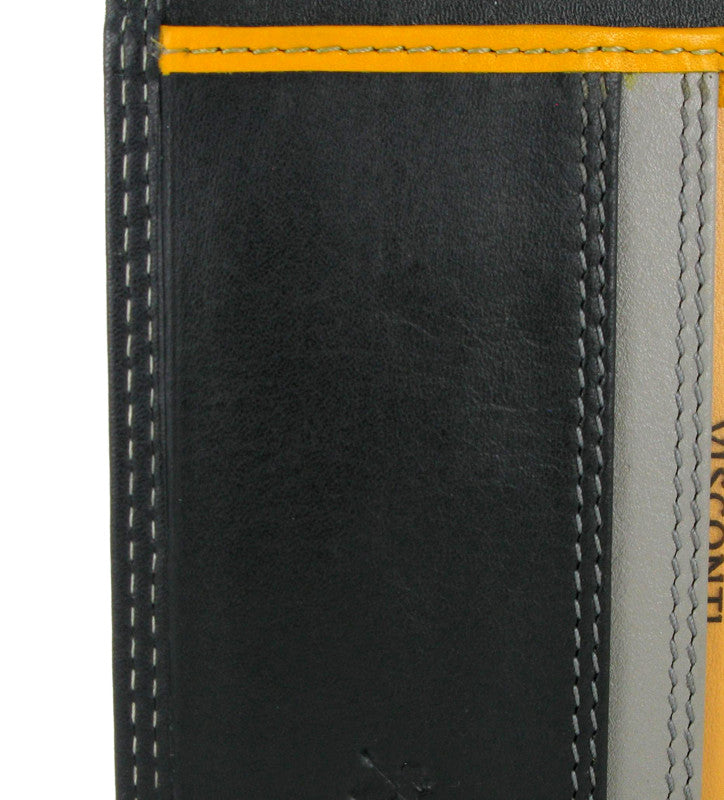 Visconti Rainbow Passport Holder RB75 Black Multi