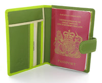 Visconti Rainbow Passport Holder RB75 Lime Multi