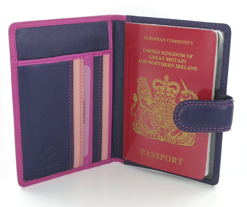 Visconti Rainbow Passport Holder RB75 Berry Multi
