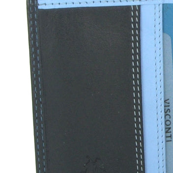 Visconti Rainbow Passport Holder RB75 Blue Multi