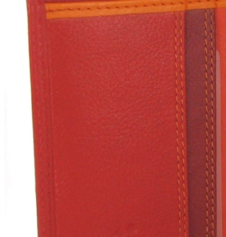 Visconti Rainbow Passport Holder RB75 Red Multi